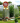 kin-prem-