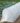 parnik-lyatna-zastita-4m-1.jpg
